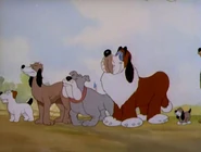 Capture 2022-01-02 01.09.10.jpg (90 KB)