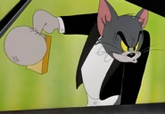 From 1947-1948, Spence's design for Tom emphasises bigger ears, a taller look(like every other animator around this time) and his eyes would vary by scene. In some scenes his eyes would be bigger, In others they would be normal sized or far apart.