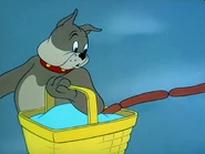 Pup on a picnic academy ratio shot 2