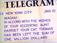The Million Dollar Cat - Telegram