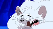 Snow Mouse (episode) | Tom and Jerry Wiki | Fandom
