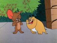 Vlcsnap-2019-07-23-15h31m21s476.png (676 KB)