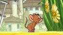 Tom-jerry-wizard-disneyscreencaps.com-1452