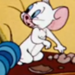 Category:Mice | Tom And Jerry Wiki | Fandom