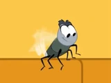Fly