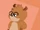Hamster