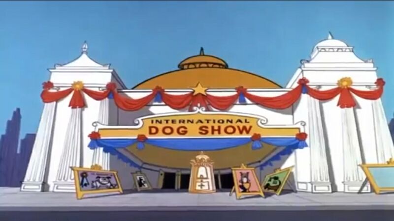 International dog store show