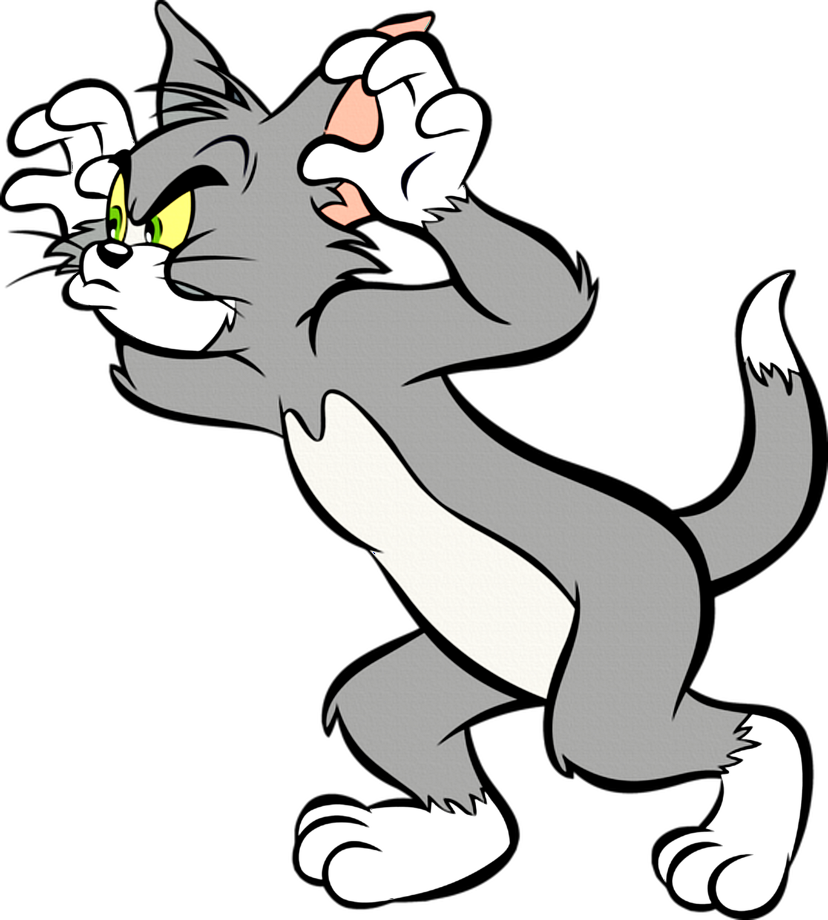 Is Tom a male in Tom and Jerry?