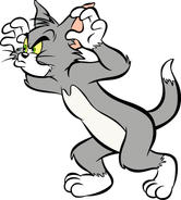 Tom Cat in the Tom and Jerry film