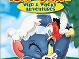 Tom and Jerry: Wild and Wacky Adventures