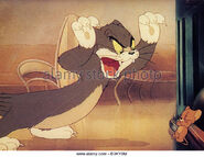 Mouse-in-the-house-warner-cartoon-with-tom-and-jerry-b3ky0m