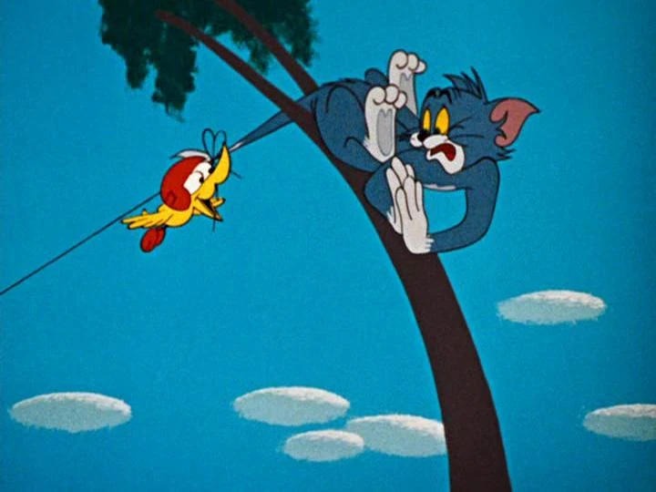 Dutch Woodpecker Tom and Jerry Wiki Fandom