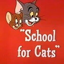 School for Cats