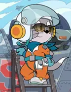 Aviator (Air Force Mechanic Style) (Class A)