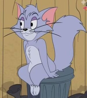 Tom Cat, Tom and Jerry Wiki