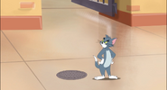 Tom in Tom and Jerry Tales' Tiger Cat.