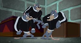 Rats Bodyguard