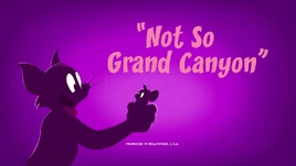 Not So Grand Canyon Title Card