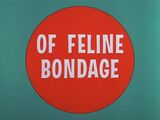 Of Feline Bondage