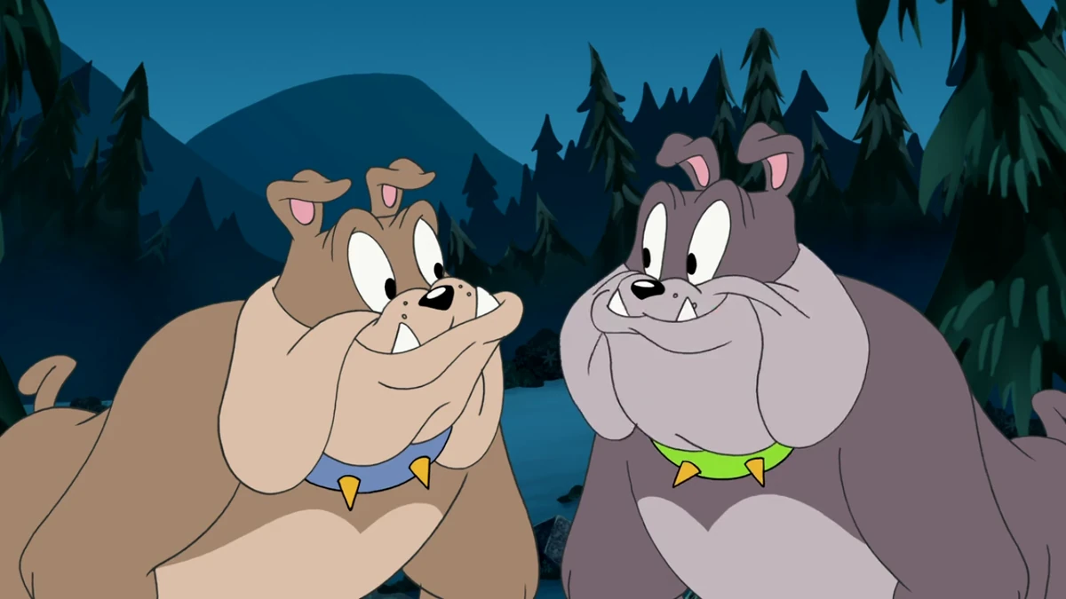 Bulldogs (Which Witch) Tom and Jerry Wiki Fandom