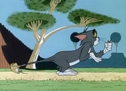 Tj-chuck-14.jpg (159 KB) Tiny grabbing Tom's tail.