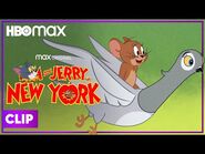 Tom and Jerry in New York - Jerry Makes a New Friend - HBO Max Family