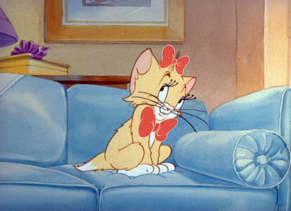 Tom and jerry puss n toots full episode new arrivals