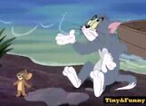 OTRABTW Tom And Jerry Look At Forest