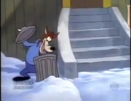 Matterhorn Droopy - Slick Wolf looking in the trash can