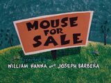 Mouse for Sale