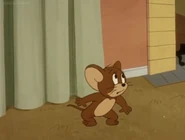 Most Wanted Cat - Jerry looking to Tom.jpg (30 KB)