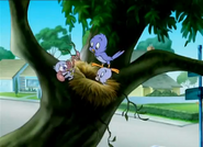 Tom and Jerry The Magic Ring - Bird chick get a worm