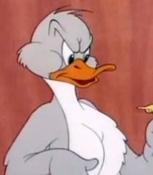 Tom and jerry duck full episodes hotsell