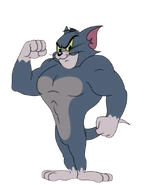 Gym Cat Tom (from Beefcake Tom)