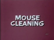 Mouse Cleaning