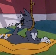 Fd4546069f5c7713b98a8720dfe55b45