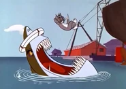 The Shark trying to eat Tom