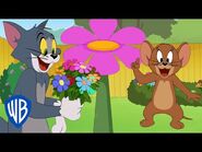 Tom & Jerry - Flower Season 🌸 - @WB Kids