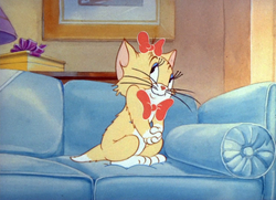 Tom's fur coat was cut by Jerry #tomandjerry #cartoon