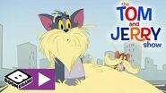 The Tom and Jerry Show Detective Training Boomerang UK 🇬🇧