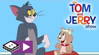 The_Tom_and_Jerry_Show_-_Tom_The_Dog_Carer_-_Boomerang_UK_🇬🇧