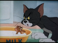 Jerry: Tom, where's my ward?