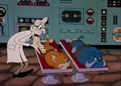 Mad Scientist (Switchin' Kitten) | Tom and Jerry Wiki | Fandom