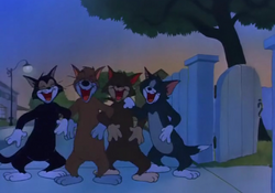 Sleepy Time Tom Gallery Tom and Jerry Wiki Fandom
