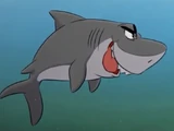 Shark (Be Careful What You Fish For)
