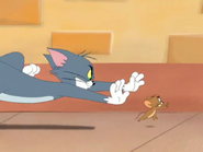 Tiger Cat - Tom chasing Jerry 2