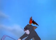 Woodpecker pecks Tom's head.png (1.02 MB)