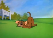 Jerry get knocked out.png (1.25 MB)