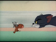 Tom: Get back here!