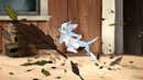 Tom-jerry-wizard-disneyscreencaps.com-1141